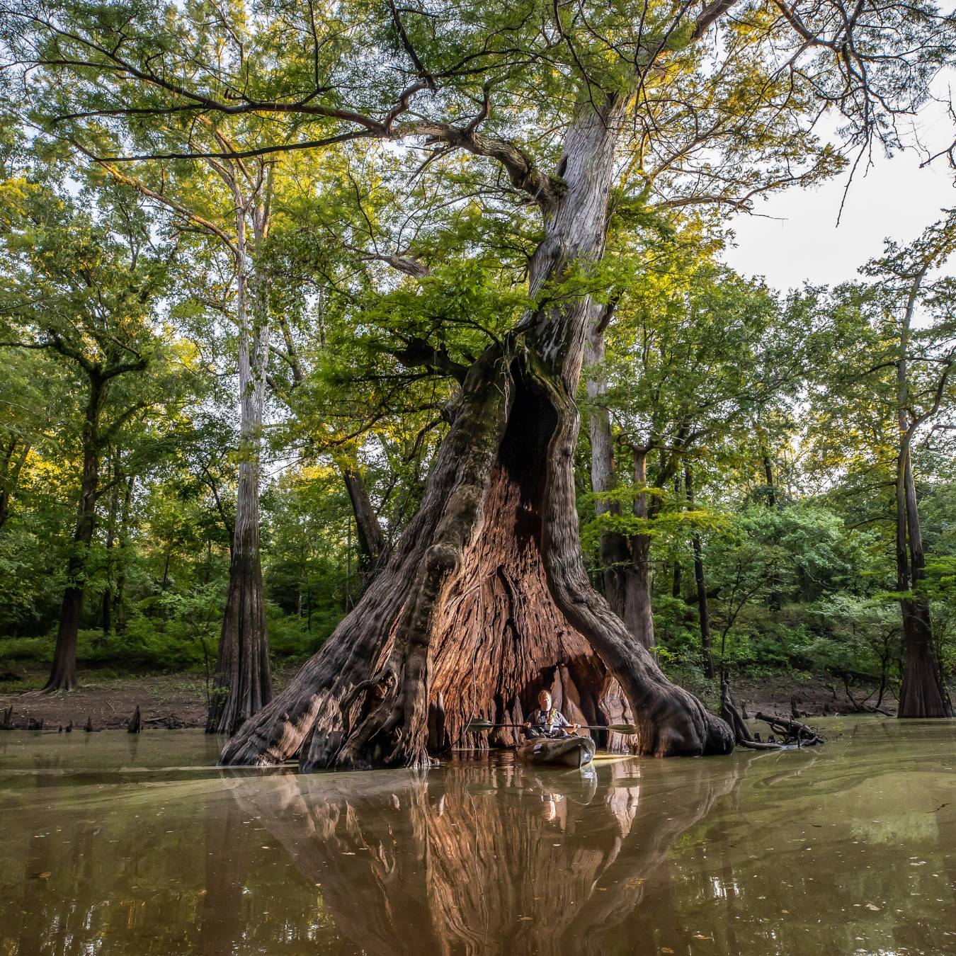 La Louisiane va bien au-delà de La Nouvelle-Orléans